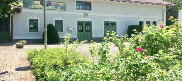 Коммерческая недвижимость 275м² в Гунскирхен, Австрия № 164539 3