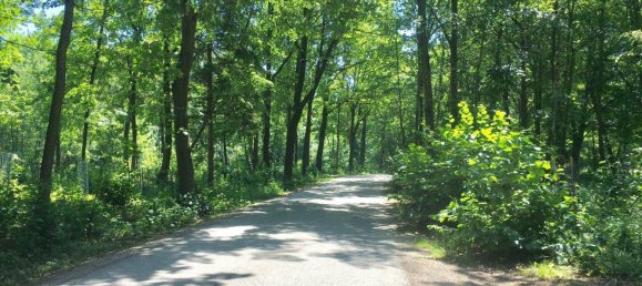 Коммерческая недвижимость 275м² в Гунскирхен, Австрия № 164539 33