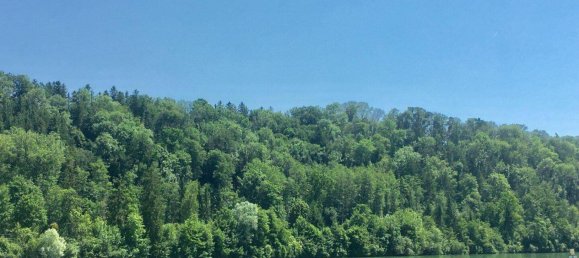 Коммерческая недвижимость 275м² в Гунскирхен, Австрия № 164539 36