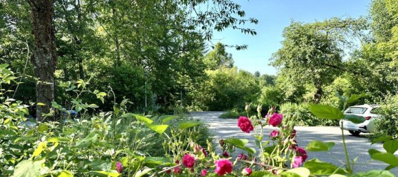 Коммерческая недвижимость 275м² в Гунскирхен, Австрия № 164539 39