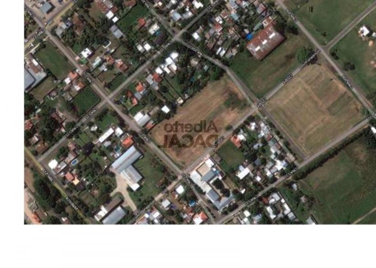  Land in Campo Creado, Argentina No. 46888