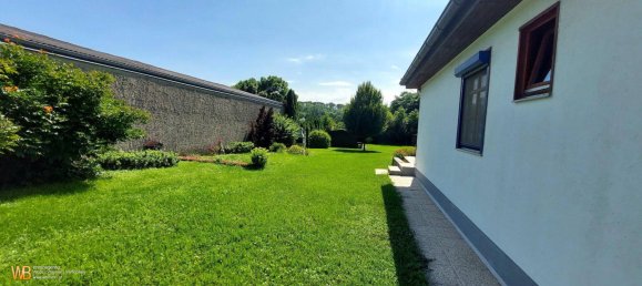 3-Zimmer Haus in Prellenkirchen, Austria, Nr. 256058 11