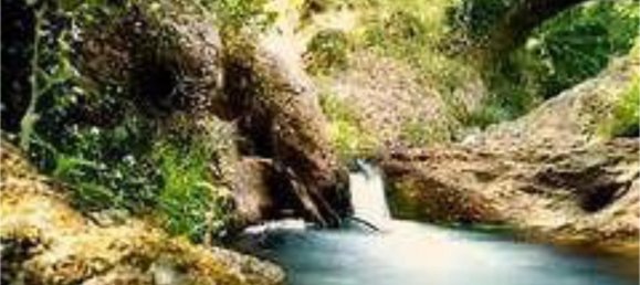 4 غرف نوم منزل في Huelva, Spain رقم 164577 7