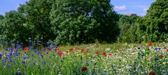 Studio in Plumstead, United Kingdom No. 3097 12