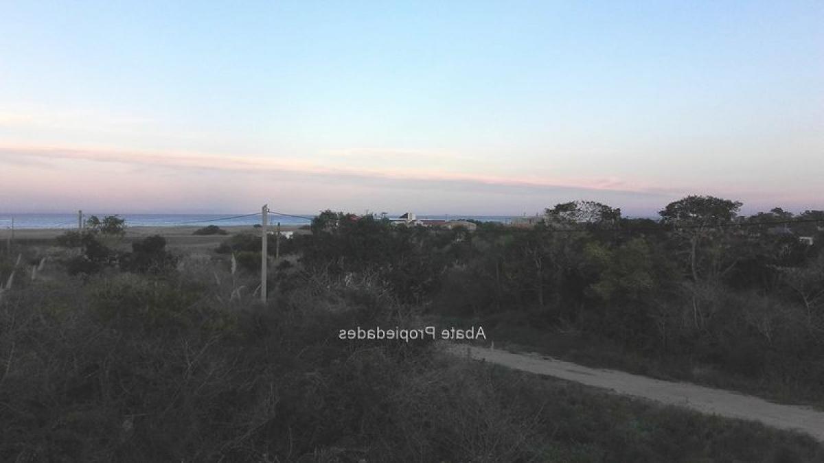 4 bedrooms House in Maldonado, Uruguay No. 3292