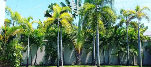 3 غرف نوم منزل في Pattaya, Thailand رقم 60226 9