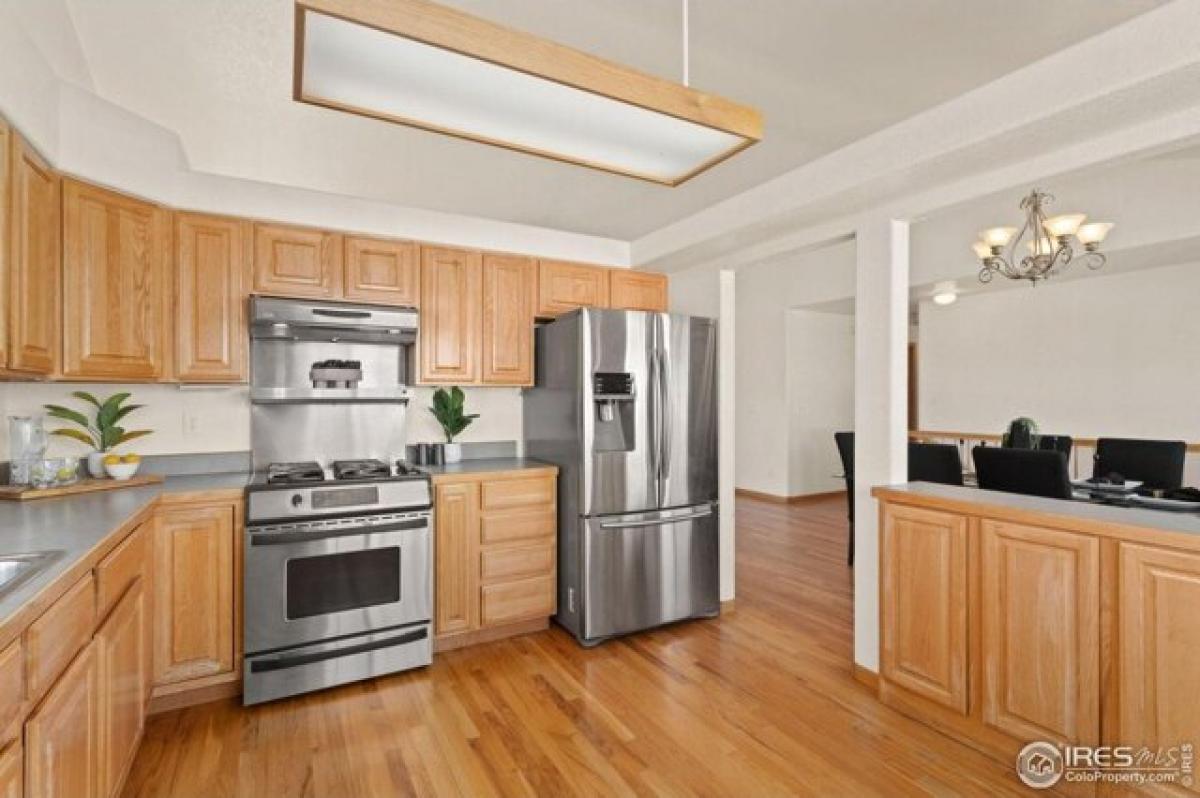 3 bedrooms House in Fort Collins, USA No. 436684