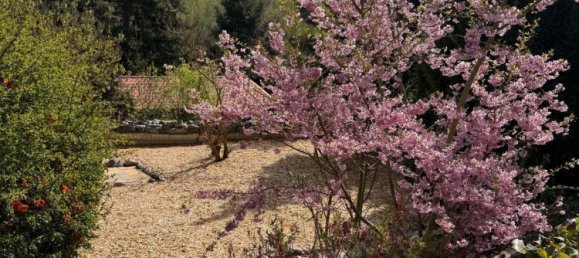 1 Schlafzimmer Bungalow in Harz, Germany, Nr. 266887 12