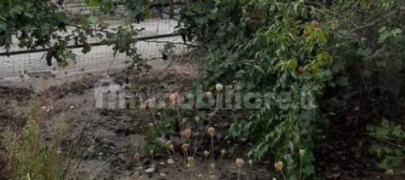 5 bedrooms House in Sezzadio, Italy No. 47017 6