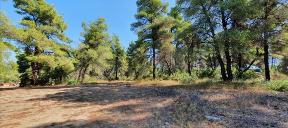 Hôtel à Chalkidiki, Greece 5200m² No. 6133 4