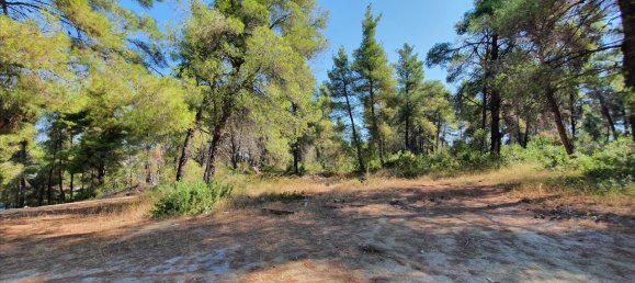 Hôtel à Chalkidiki, Greece 5200m² No. 6133 6