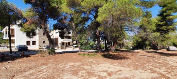 Hôtel à Chalkidiki, Greece 5200m² No. 6133 3