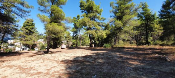 Hôtel à Chalkidiki, Greece 5200m² No. 6133 5