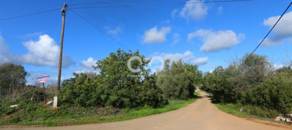 Propriété commerciale à Sao Bartolomeu de Messines, Portugal No. 138934 14