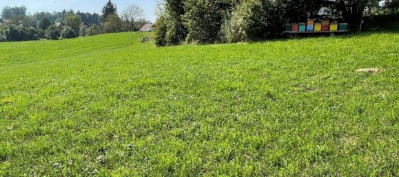 Земельный участок 4250м² в Москирхен, Австрия № 36502 4