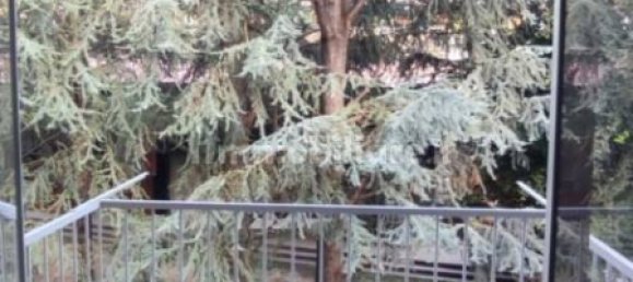 Apartamento de 2 dormitorios en Bettola, Italy No. 251971 8