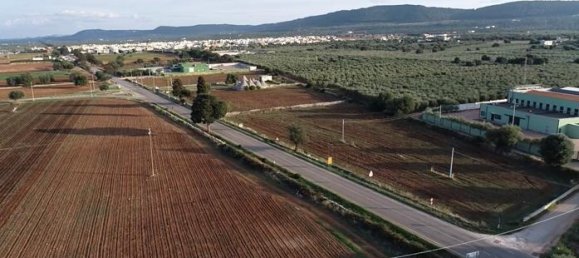 Дом с 16 комнатами в Остуни, Италия № 118382 6