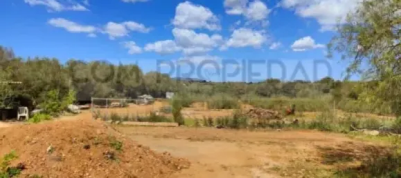 4 Schlafzimmer Haus in Manacor, Spain, Nr. 188498 11