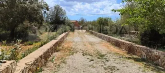 4 Schlafzimmer Haus in Manacor, Spain, Nr. 188498 12