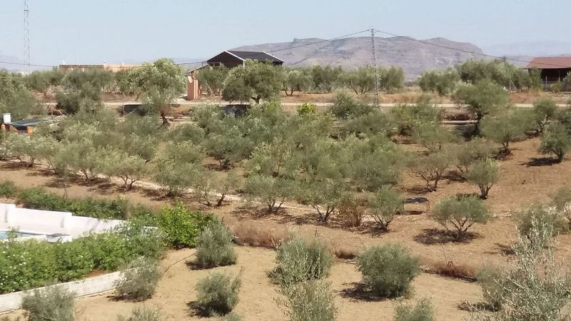 Terreno em Coin, Spain 6000 m² N.º 221057