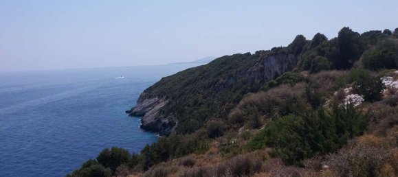 terrain à vendre à Zakynthos, Ionian Islands, Peloponnese, Western Greece and the Ionian, Greece № 8938 5