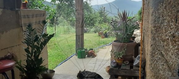 Casa de 3 dormitorios en Famalicao, Portugal No. 20353 7