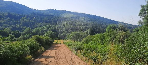 Casa de 3 dormitorios en Famalicao, Portugal No. 20353 23