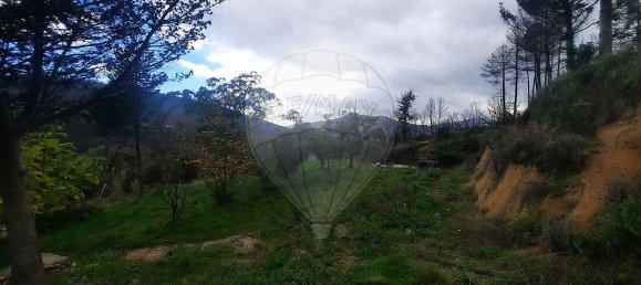 Casa de 3 dormitorios en Famalicao, Portugal No. 20353 18