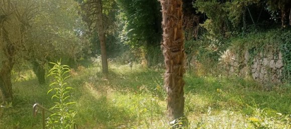 5-Zimmer Haus in Sarteano, Italy, Nr. 47684 16