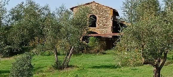 10 Schlafzimmer Villa in San Casciano in Val di Pesa, Italy, Nr. 315418 4
