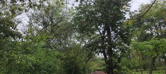  Land in Santa Cruz, Costa Rica No. 1636 5