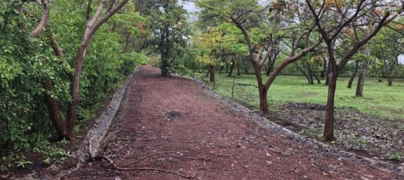  Land in Santa Cruz, Costa Rica No. 1636 6