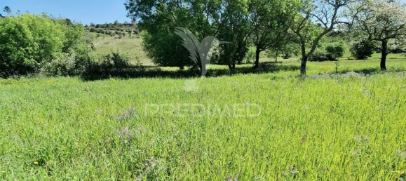 11150m² Land in Santarem, Portugal No. 63876 2