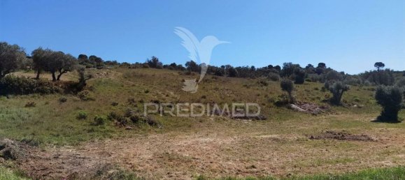 11150m² Land in Santarem, Portugal No. 63876 19
