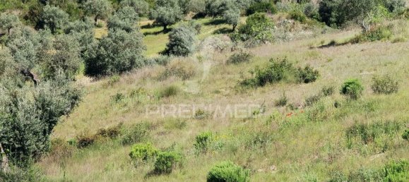 11150m² Land in Santarem, Portugal No. 63876 7