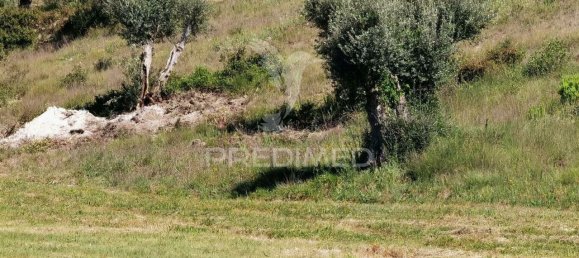 11150m² Land in Santarem, Portugal No. 63876 6