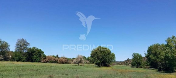 11150m² Land in Santarem, Portugal No. 63876 11