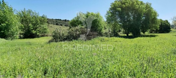 11150m² Land in Santarem, Portugal No. 63876 20