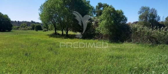 11150m² Land in Santarem, Portugal No. 63876 16