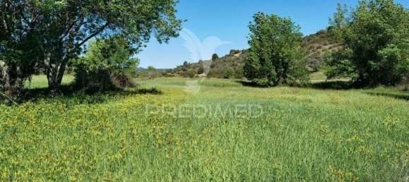 11150m² Land in Santarem, Portugal No. 63876 12