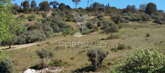 11150m² Land in Santarem, Portugal No. 63876 5