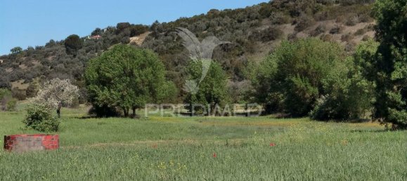 11150m² Land in Santarem, Portugal No. 63876 9