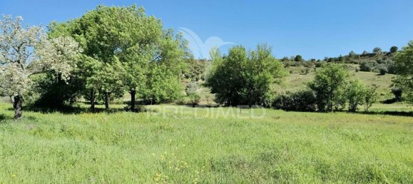 11150m² Land in Santarem, Portugal No. 63876 4
