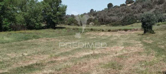 11150m² Land in Santarem, Portugal No. 63876 8