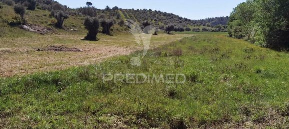 11150m² Land in Santarem, Portugal No. 63876 18