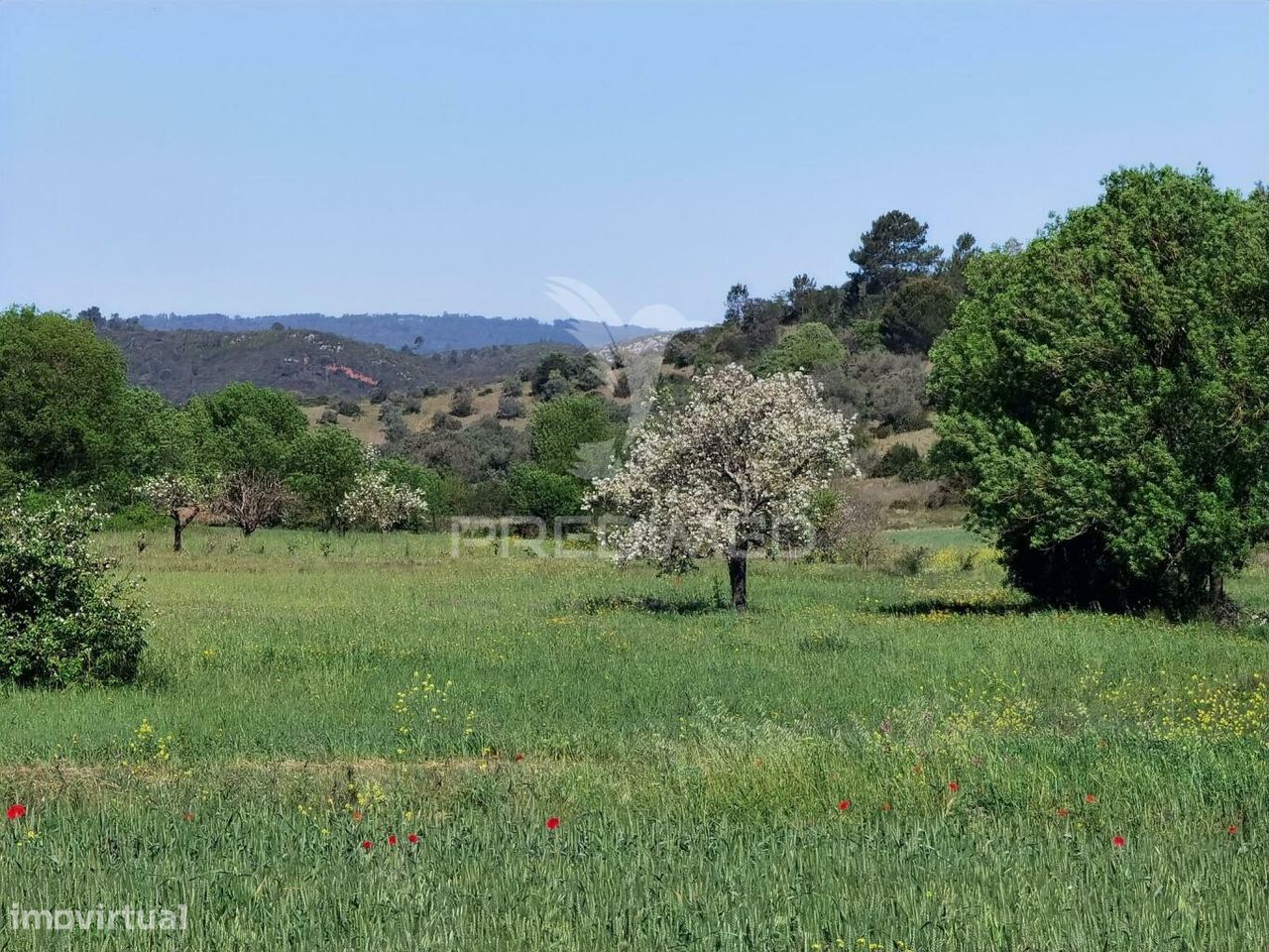 11150m² Land in Santarem, Portugal No. 63876