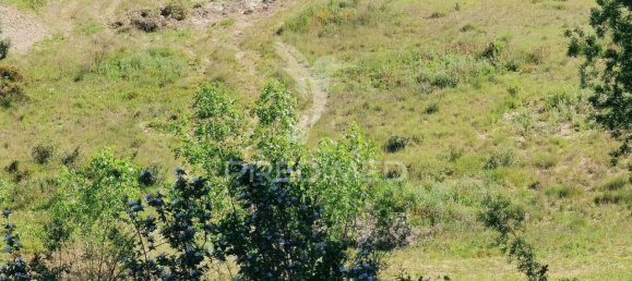 11150m² Land in Santarem, Portugal No. 63876 3