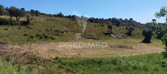 11150m² Land in Santarem, Portugal No. 63876 17