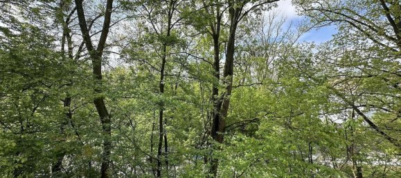 3-Zimmer Wohnung in Gottingen, Germany, Nr. 332146 16