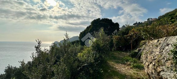 Квартира с 5 комнатами в Берджеджи, Италия № 107007 36